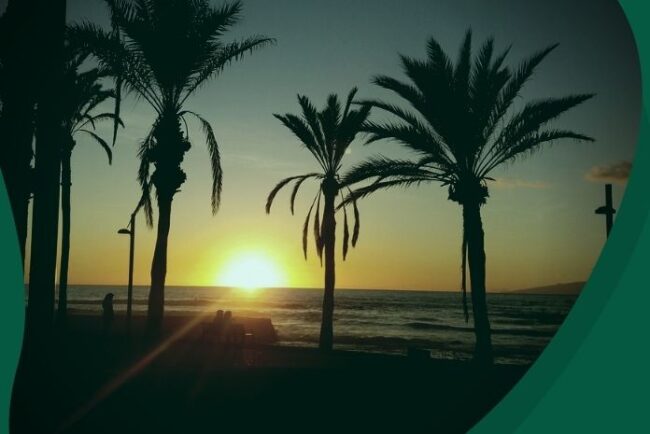 Wyjazd-na-Wyspy-Kanaryjskie-konsultacje Przeprowadzka na Wyspy Kanaryjskie